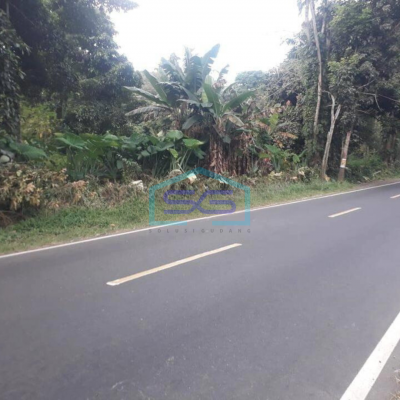 Dijual Tanah 2,7 h di Minahasa Utara cocok untuk gudang dan industri