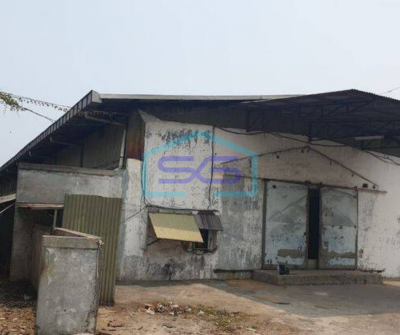 Disewakan Gudang di peternakan kapuk