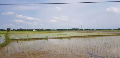 DIJUAL TANAH DI KARAWANG