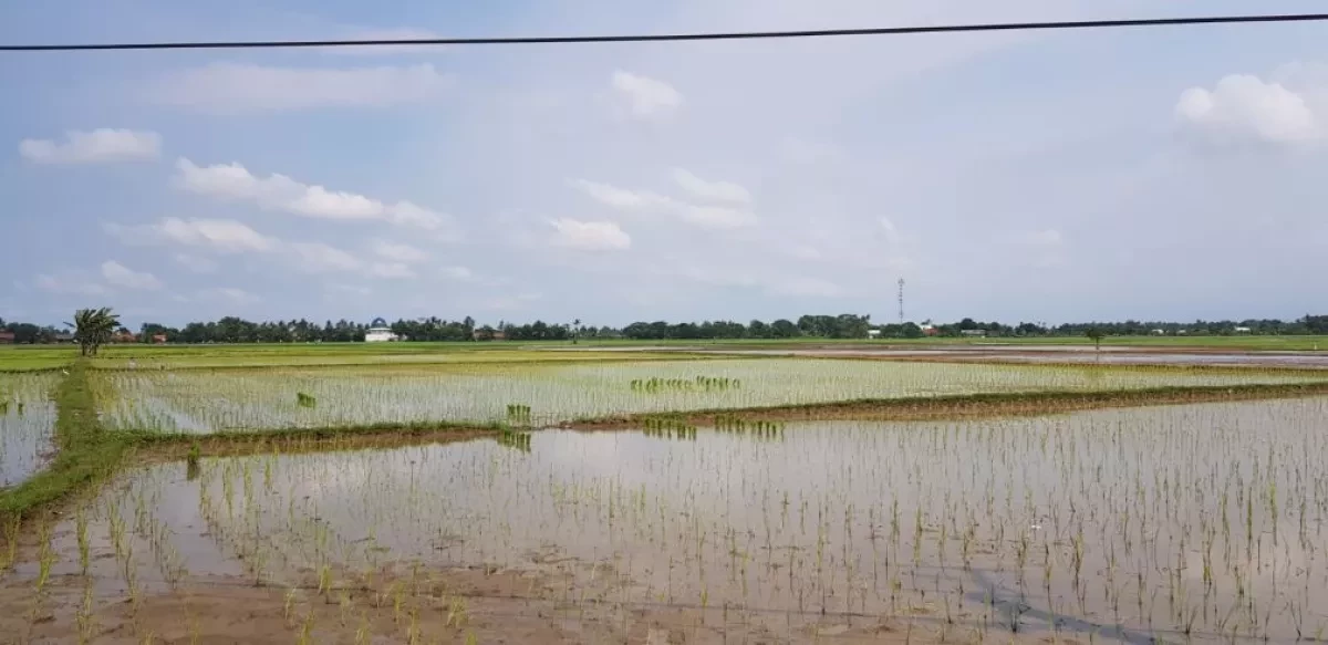 DIJUAL TANAH DI KARAWANG-2