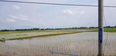 DIJUAL TANAH DI KARAWANG