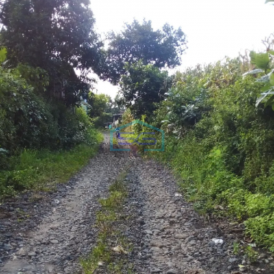 Dijual Tanah di Sidomukti Weleri Kendal bisa buat perumahan Luas Tanah 3810m2