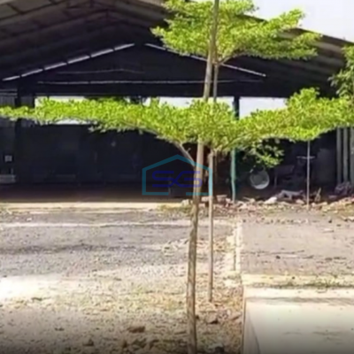 DIsewakan Gudang di Weleri Montong Raya Luas Bangunan 750 m²