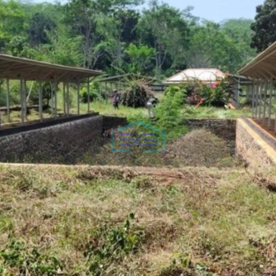 Dijual Tanah Di Batang Dekat Batang Industrial Park