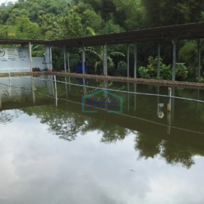 Dijual Ruang Usaha Tempat Pemancingan Dan Tempat Wisata Di Pudak Payung Semarang