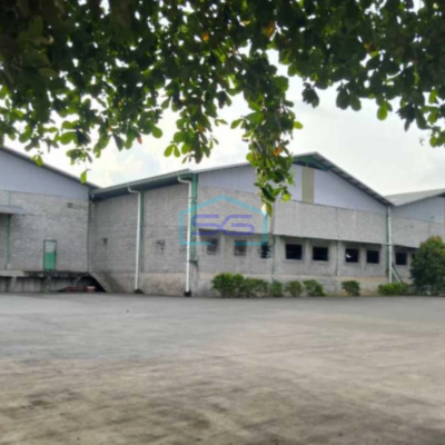 Dijual Pabtik Pengolahan Kayu Masih Aktif Di Batang