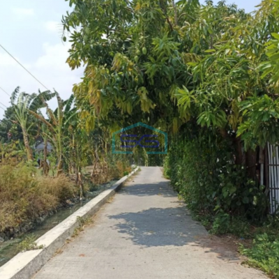 Dijual Tanah sawah di ketapang kendal Luas Tanah 5821m2