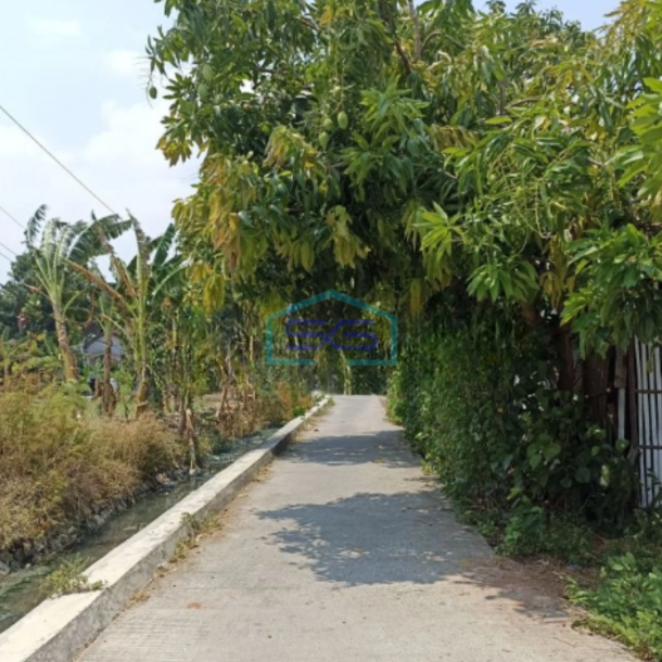 Dijual Tanah sawah di ketapang kendal Luas Tanah 5821m2-2