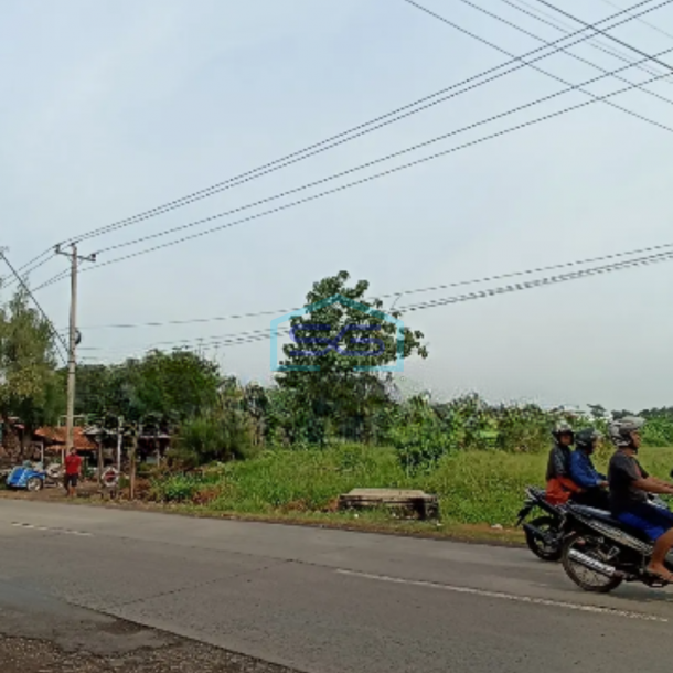 Dijual Tanah Di Weleri Kendal Luas Tanah 2930 m²-2