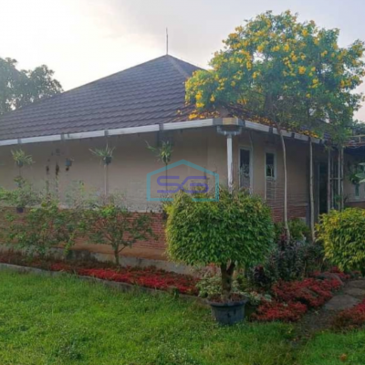 Dijual Tanah Perkebunan Dan Villa Di Bogor