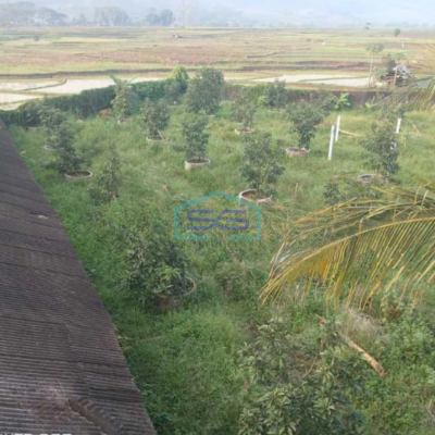 Dijual Tanah Perkebunan Dan Villa Di Bogor