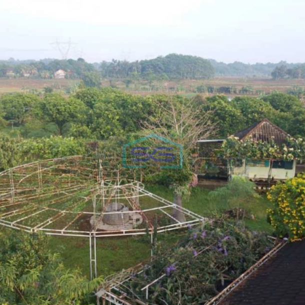 Dijual Tanah Perkebunan Dan Villa Di Bogor-1