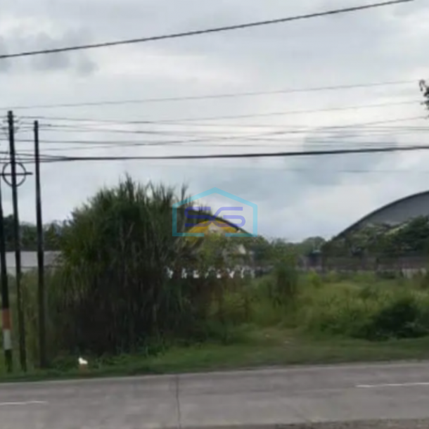 Disewakan Tanah Padas di Karang Awen Demak Jawa Tengah Luas Tanah 9000m2-1