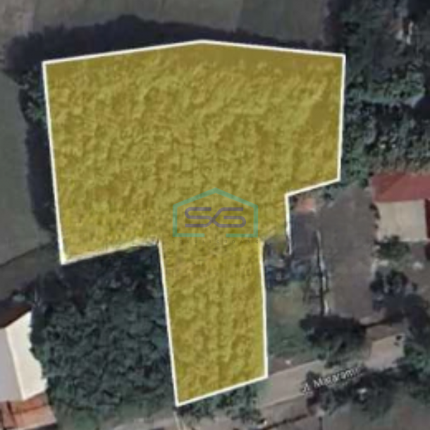 Dijual Tanah Ada Pohon Jati Nya Di Patebon Kendal-3