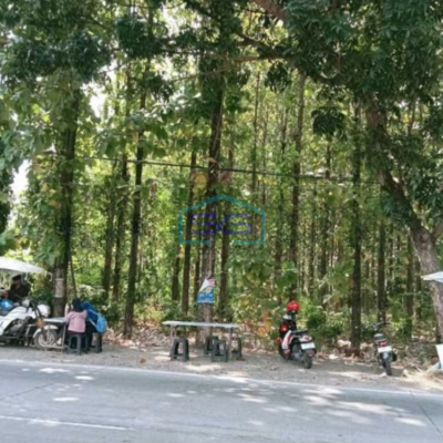 Dijual Tanah Ada Pohon Jati Nya Di Patebon Kendal