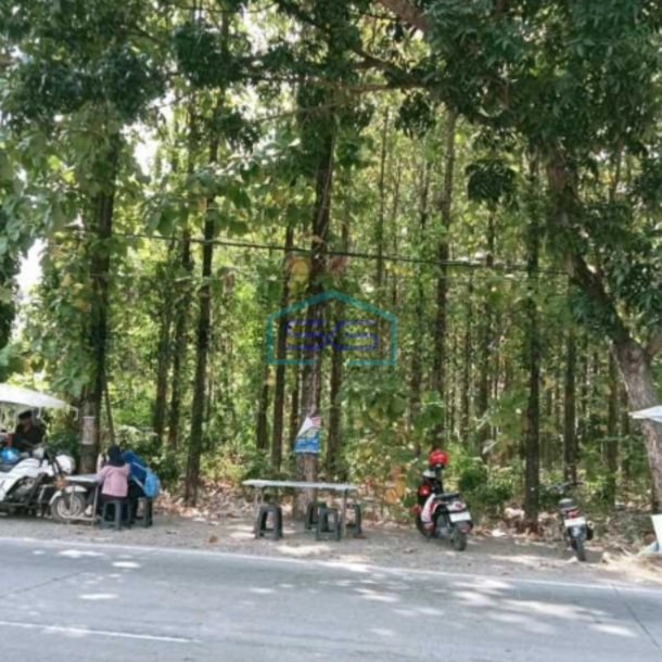 Dijual Tanah Ada Pohon Jati Nya Di Patebon Kendal-2