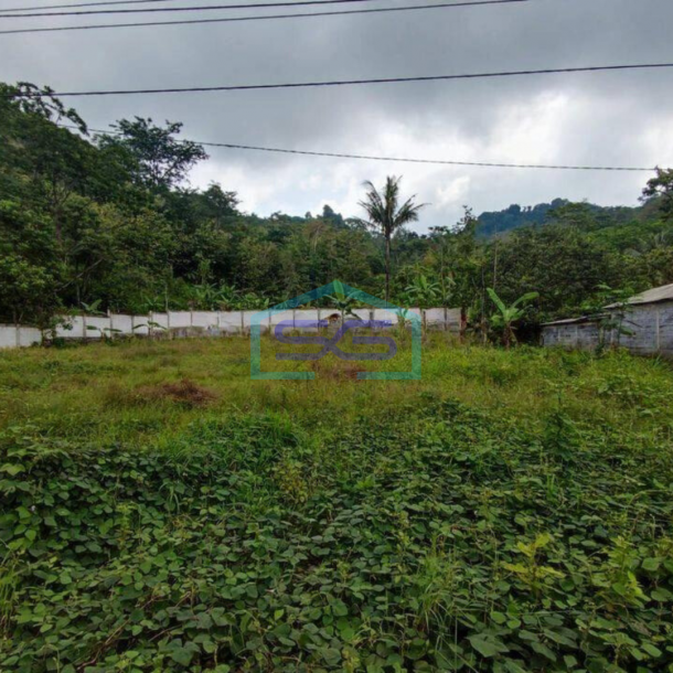 Dijual tanah di pageruyung kendal weleri sukorejo-2