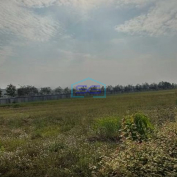 Disewakan Tanah Kavling Komersil PIK 2 Jakarta Utara Luas Tanah 5000 m2 Cocok Untuk Office-3