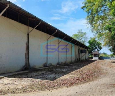 Disewakan Gudang Tanjung Morawa Medan