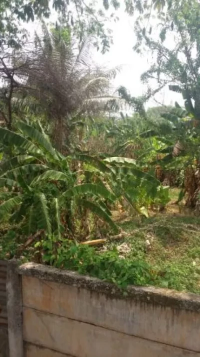 Dijual tanah di Petukangan utara jakarta selatan luas 16000m