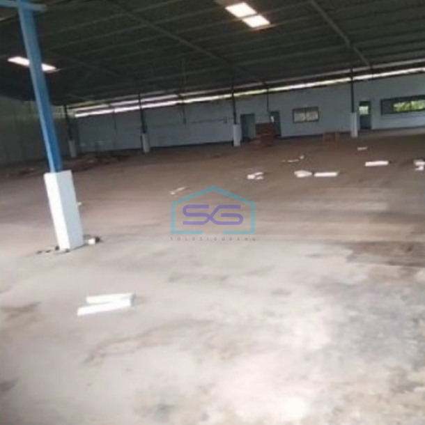 Disewakan Gudang Lokasi Strategis Di Rangkas Bitung Lebak Banten LT 20000m2-2