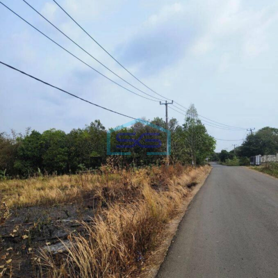 Dijual Tanah Untuk Gudang Harga MurahdDi Padasuka Maja Lebak Banten