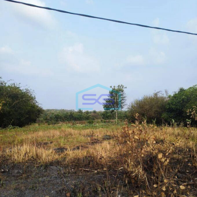 Dijual Tanah Untuk Gudang Harga MurahdDi Padasuka Maja Lebak Banten