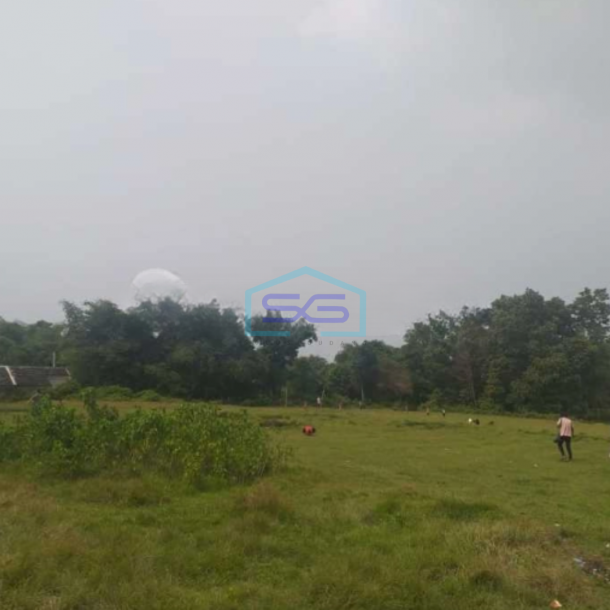 Dijual Tanah Darat Luas 2,5 Ha Di Mekarsari Daru Tangerang-1