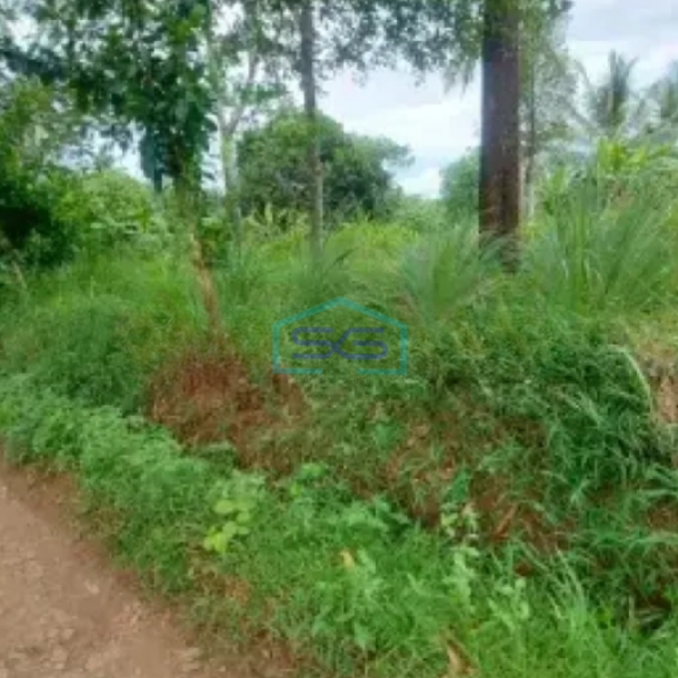 Dijual Tanah Darat Dekat Dengan Lahan Pengembang Agung Podomoro Group di Tenjo Bogor-1