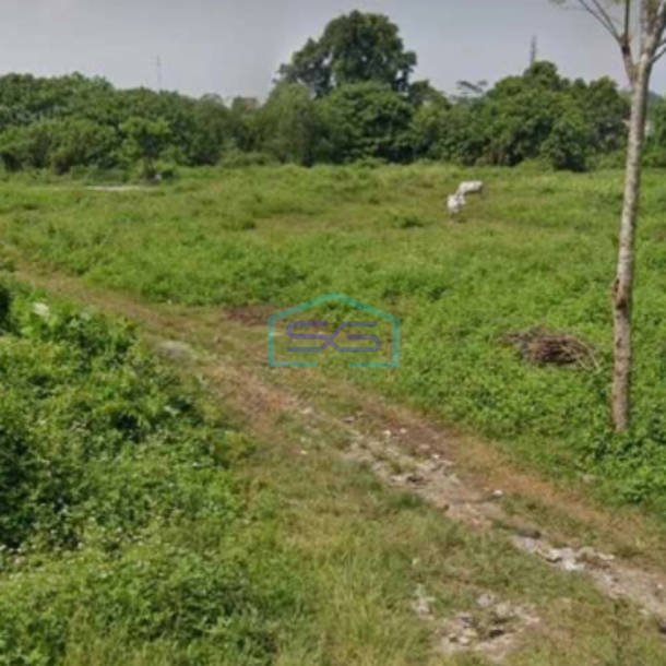 Dijual Murah Lahan Daerah Curug Dekat Dengan Citra Raya Tangerang LT 7300m2-1