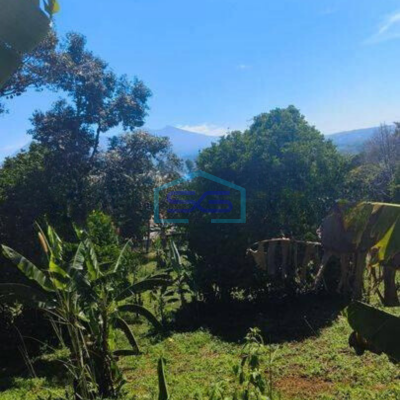 Dijual Tanah Untuk Gudang di Ginanjar Sukabumi