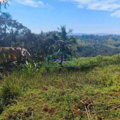 Dijual Tanah Untuk Gudang di Ginanjar Sukabumi