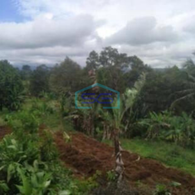 Dijual Tanah Untuk Gudang di Gianjar Sukabumi