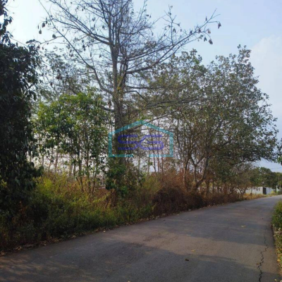 Dijual Tanah Untuk Gudang di Pasir Kembang Maja Lebak