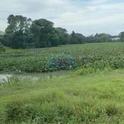 Dijual Lahan Cocok Untuk Gudang di Curug Tangerang