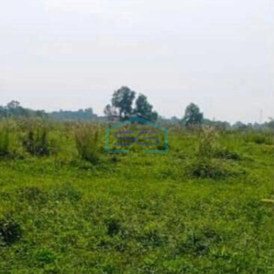 Dijual Lahan Cocok Untuk Gudang di Curug Tangerang