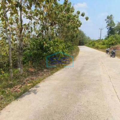 Dijual Tanah Cocok Untuk Gudang di Sindang Sari Sajira Lebak Banten