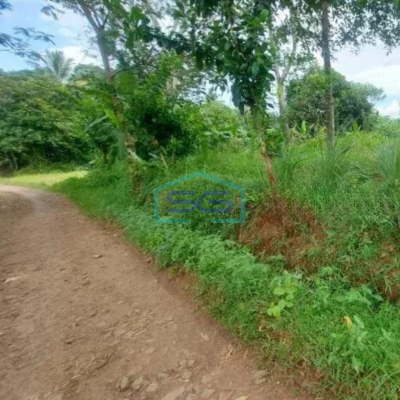 Dijual Tanah Cocok Untuk Gudang di Tenjo Bogor