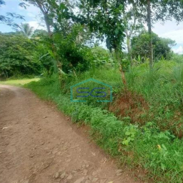 Dijual Tanah Cocok Untuk Gudang di Tenjo Bogor-1