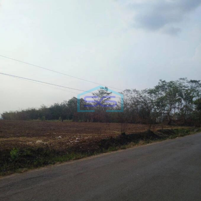 Dijual Tanah Untuk Gudang di Maja Lebak