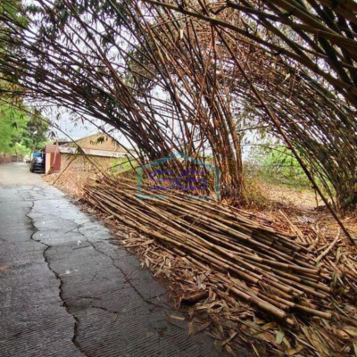 Dijual Tanah Untuk Gudang di Perbatasan Curug Dan Legok