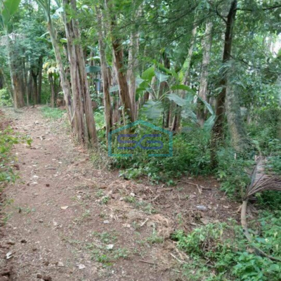 Dijual Tanah Cocok Gudang di Babat Legok Tangerang