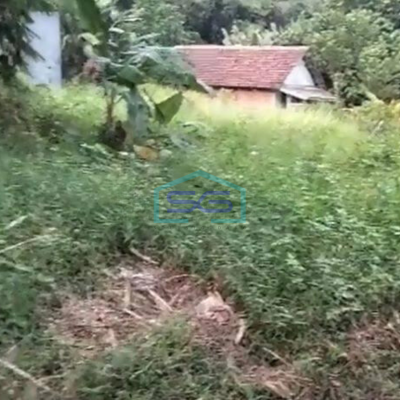 Dijual Tanah Untuk Gudang di Pinggir Jalan Raya Tenjo Bogor