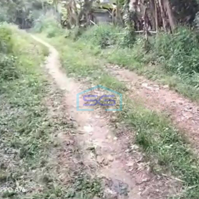 Dijual Tanah Untuk Gudang di Pinggir Jalan Raya Tenjo Bogor