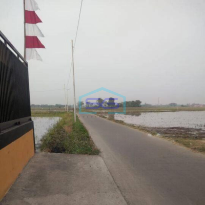 Dijual Tanah Untuk Gudang di Kawasan Rajeg Tangerang
