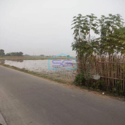 Dijual Tanah Untuk Gudang di Kawasan Rajeg Tangerang