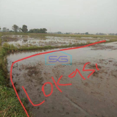 Dijual Tanah Untuk Gudang di Kawasan Rajeg Tangerang