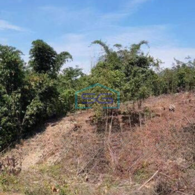 Dijual Tanah Bisa Untuk Gudang Harga Murah di Cipanas Lebak Banten-5