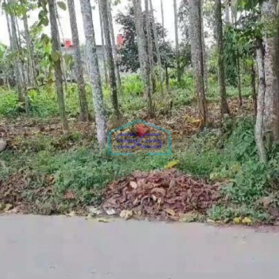 Dijual Tanah Cocok Untuk Gudang di Serdang Wetan