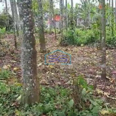 Dijual Tanah Cocok Untuk Gudang di Serdang Wetan